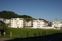 IMG_8302